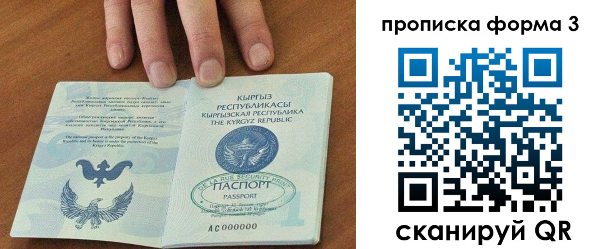 прописка 2025 в Шлиссельбурге